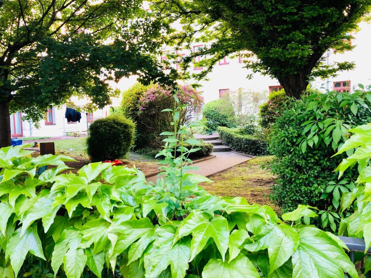 Ferienwohnungen Mit Terrasse In Zwingernahe - Hilger Rentals Drážďany Exteriér fotografie